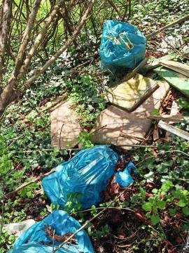 Ravenski čebelarji in Rod Koroških Jeklarjev Ravne na Koroškem (4)